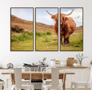 Highland Cow Animal Canvas Wall Art Texas Cattle Art Print