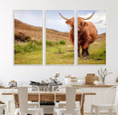 Highland Cow Animal Canvas Wall Art Texas Cattle Art Print