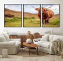 Highland Cow Animal Canvas Wall Art Texas Cattle Art Print