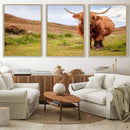Highland Cow Animal Canvas Wall Art Texas Cattle Art Print
