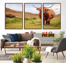 Highland Cow Animal Canvas Wall Art Texas Cattle Art Print