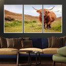 Highland Cow Animal Canvas Wall Art Texas Cattle Art Print