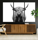 Highland Cow Canvas Wall Art Print – Farmhouse Black White