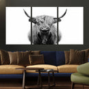 Highland Cow Canvas Wall Art Print – Farmhouse Black White