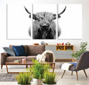 Highland Cow Canvas Wall Art Print – Farmhouse Black White