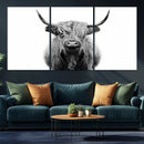 Highland Cow Canvas Wall Art Print – Farmhouse Black White