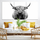Highland Cow Canvas Wall Art Print – Farmhouse Black White