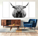 Highland Cow Canvas Wall Art Print – Farmhouse Black White