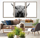 Highland Cow Canvas Wall Art Print – Farmhouse Black White