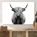 Highland Cow Canvas Wall Art Print – Farmhouse Black White