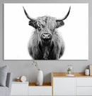 Highland Cow Canvas Wall Art Print – Farmhouse Black White