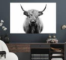 Highland Cow Canvas Wall Art Print – Farmhouse Black White