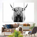 Highland Cow Canvas Wall Art Print – Farmhouse Black White