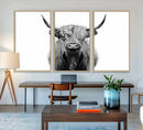 Highland Cow Canvas Wall Art Print – Farmhouse Black White