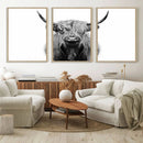 Highland Cow Canvas Wall Art Print – Farmhouse Black White