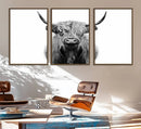 Highland Cow Canvas Wall Art Print – Farmhouse Black White