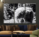 Highland Cow Canvas Wall Art – Black and White Minimalist