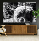 Highland Cow Canvas Wall Art – Black and White Minimalist