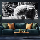 Highland Cow Canvas Wall Art – Black and White Minimalist