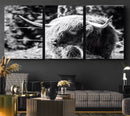 Highland Cow Canvas Wall Art – Black and White Minimalist