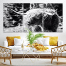 Highland Cow Canvas Wall Art – Black and White Minimalist