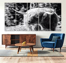 Highland Cow Canvas Wall Art – Black and White Minimalist