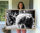 Highland Cow Canvas Wall Art – Black and White Minimalist