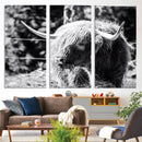 Highland Cow Canvas Wall Art – Black and White Minimalist