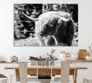 Highland Cow Canvas Wall Art – Black and White Minimalist