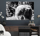 Highland Cow Canvas Wall Art – Black and White Minimalist