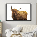 Highland Cow Wall Art Canvas Print – Framed Scottish Bull