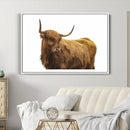Highland Cow Wall Art Canvas Print – Framed Scottish Bull