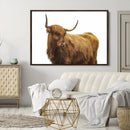 Highland Cow Wall Art Canvas Print – Framed Scottish Bull