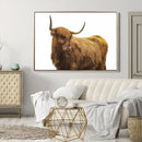 Highland Cow Wall Art Canvas Print – Framed Scottish Bull