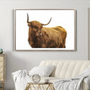 Highland Cow Wall Art Canvas Print – Framed Scottish Bull