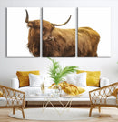 Highland Cow Wall Art Canvas Print – Framed Scottish Bull