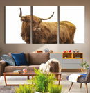 Highland Cow Wall Art Canvas Print – Framed Scottish Bull