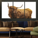 Highland Cow Wall Art Canvas Print – Framed Scottish Bull