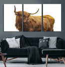 Highland Cow Wall Art Canvas Print – Framed Scottish Bull