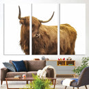 Highland Cow Wall Art Canvas Print – Framed Scottish Bull