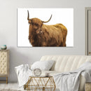 Highland Cow Wall Art Canvas Print – Framed Scottish Bull