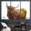 Highland Cow Wall Art Canvas Print – Framed Scottish Bull