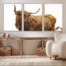 Highland Cow Wall Art Canvas Print – Framed Scottish Bull