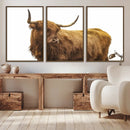Highland Cow Wall Art Canvas Print – Framed Scottish Bull