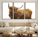 Highland Cow Wall Art Canvas Print – Framed Scottish Bull