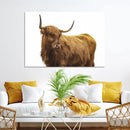 Highland Cow Wall Art Canvas Print – Framed Scottish Bull