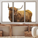 Highland Cow Wall Art Canvas Print – Framed Scottish Bull
