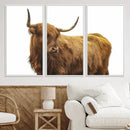 Highland Cow Wall Art Canvas Print – Framed Scottish Bull