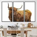 Highland Cow Wall Art Canvas Print – Framed Scottish Bull
