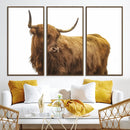 Highland Cow Wall Art Canvas Print – Framed Scottish Bull